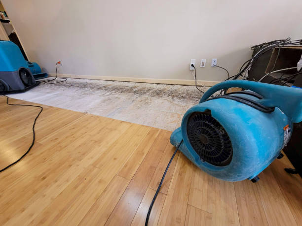 Professional Basement Flood Cleanup technician working in Arcadia, LA